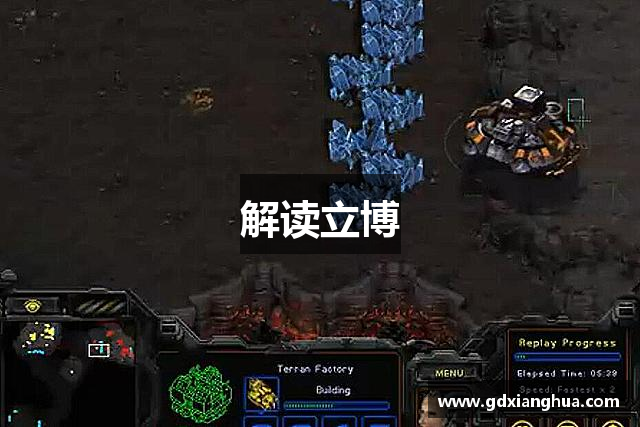 解读立博